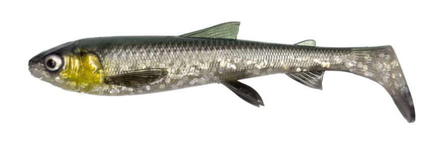 Savage Gear 3D Whitefish Shad 17.5cm (42g) (2 Stück) - Green Silver