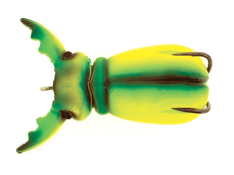 Molix Supernato Beetle Oberflächenköder (7,5cm | 17g) - Chart Beetle Top