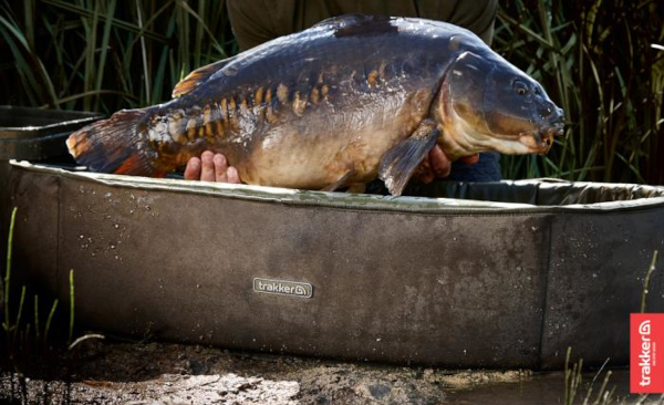 Trakker Sanctuary Kompakt-Becken