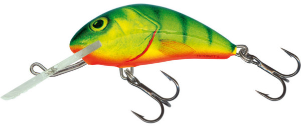 Salmo Hornet 6cm (10 Optionen) - Hot Perch