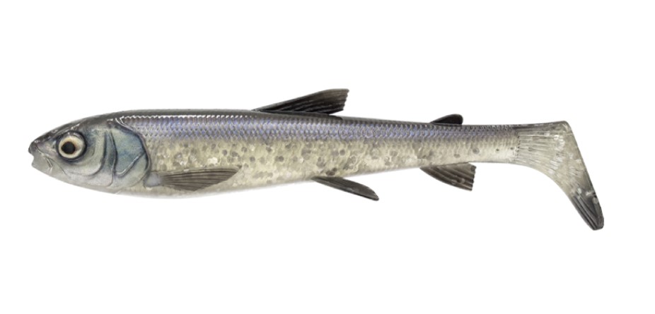 Savage Gear 3D Whitefish Shad 23cm (94g) - Whitefish