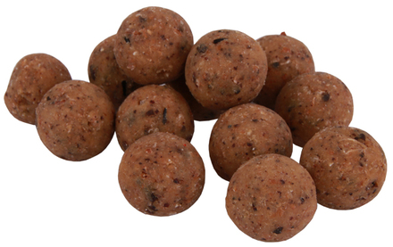 Premium Readymade The Nutz Boilies in 15 oder 20mm