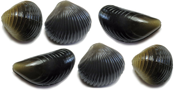 Behr Trendex Mini Carp Shells, 6 St.