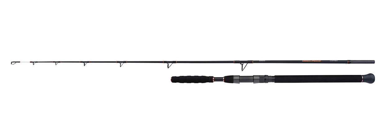 Shimano Beastmaster Catfish Welsrute Vertical 1.85m (200g)