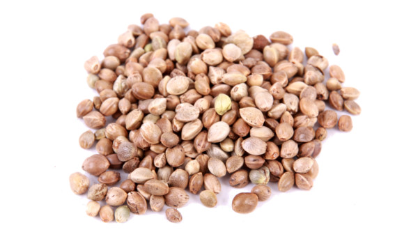 5kg Partikel zum selbermachen (3 Optionen) - Hemp Seed