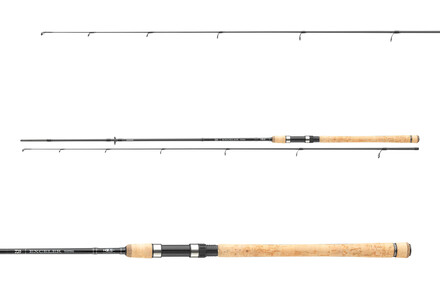 Daiwa Exceler Traditional Spinnrute