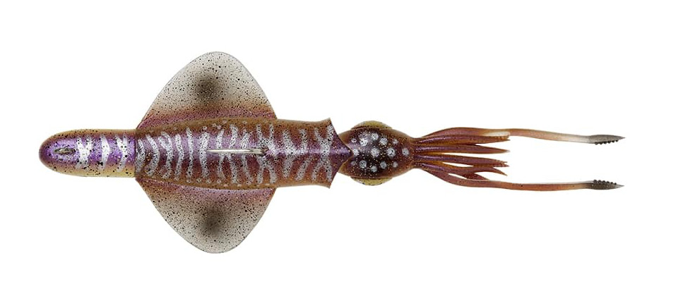 Savage Gear Swim Squid Rtf Meeres-Köder 18cm (90g) - Cuttlefish