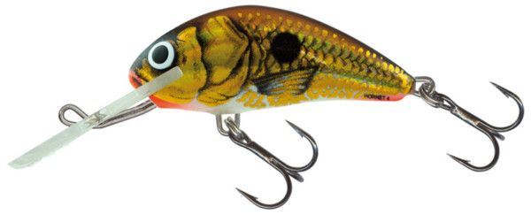 Salmo Hornet 6cm (10 Optionen) - UV Gold Shiner