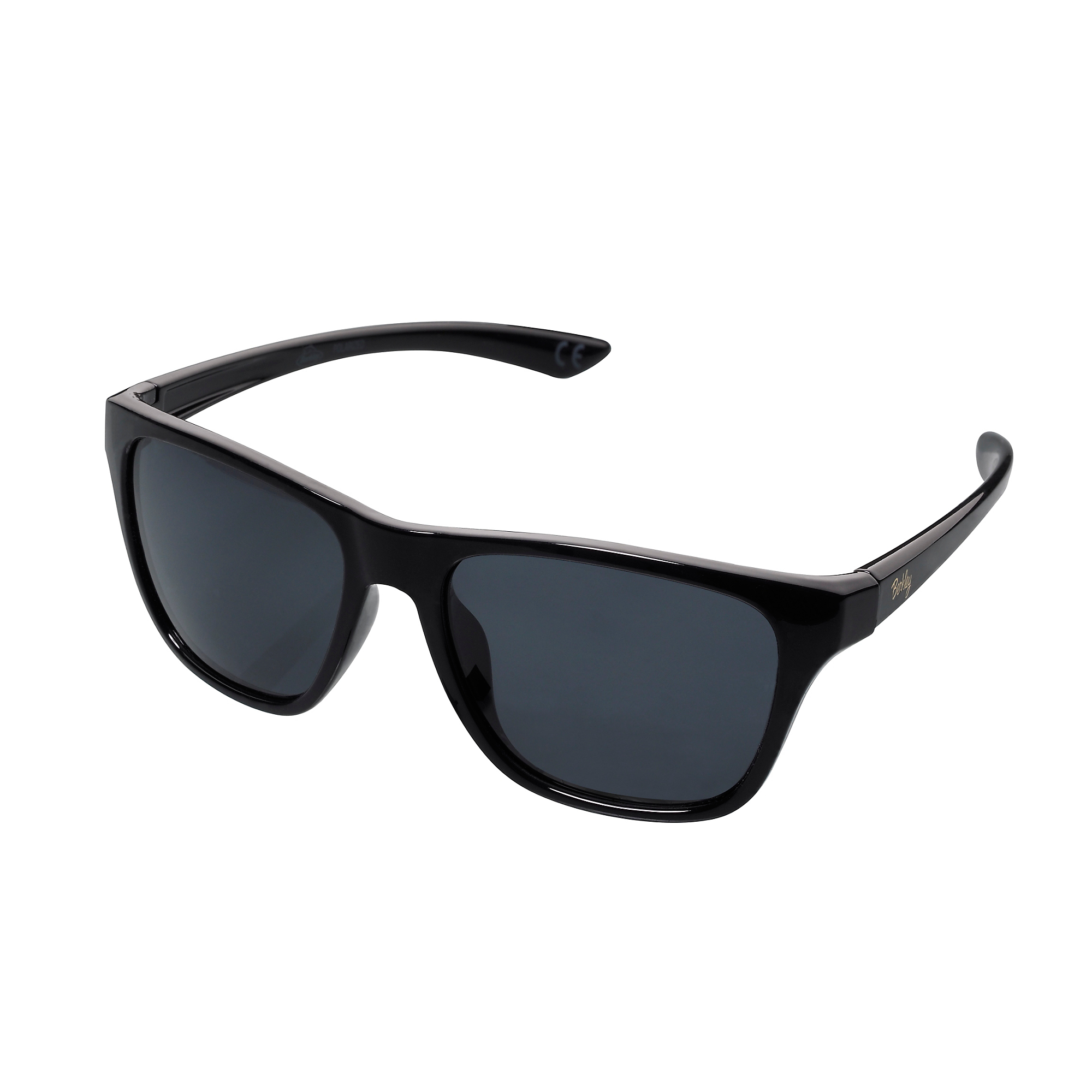 Berkley Urbn Sunglasses - Black