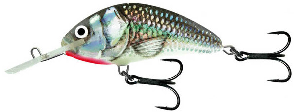 Salmo Hornet 4cm (17 Optionen) - Holo Grey Shiner