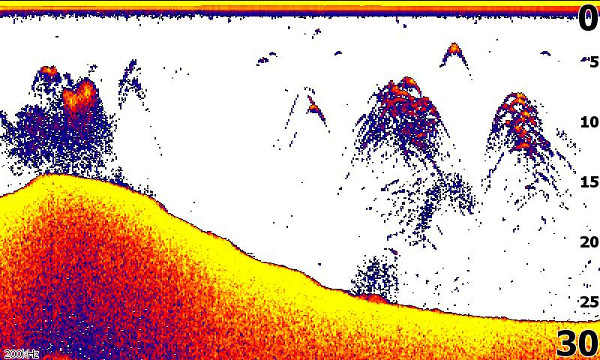 Lowrance Hook² 5 TripleShot mit High CHIRP, SideScan und DownScan