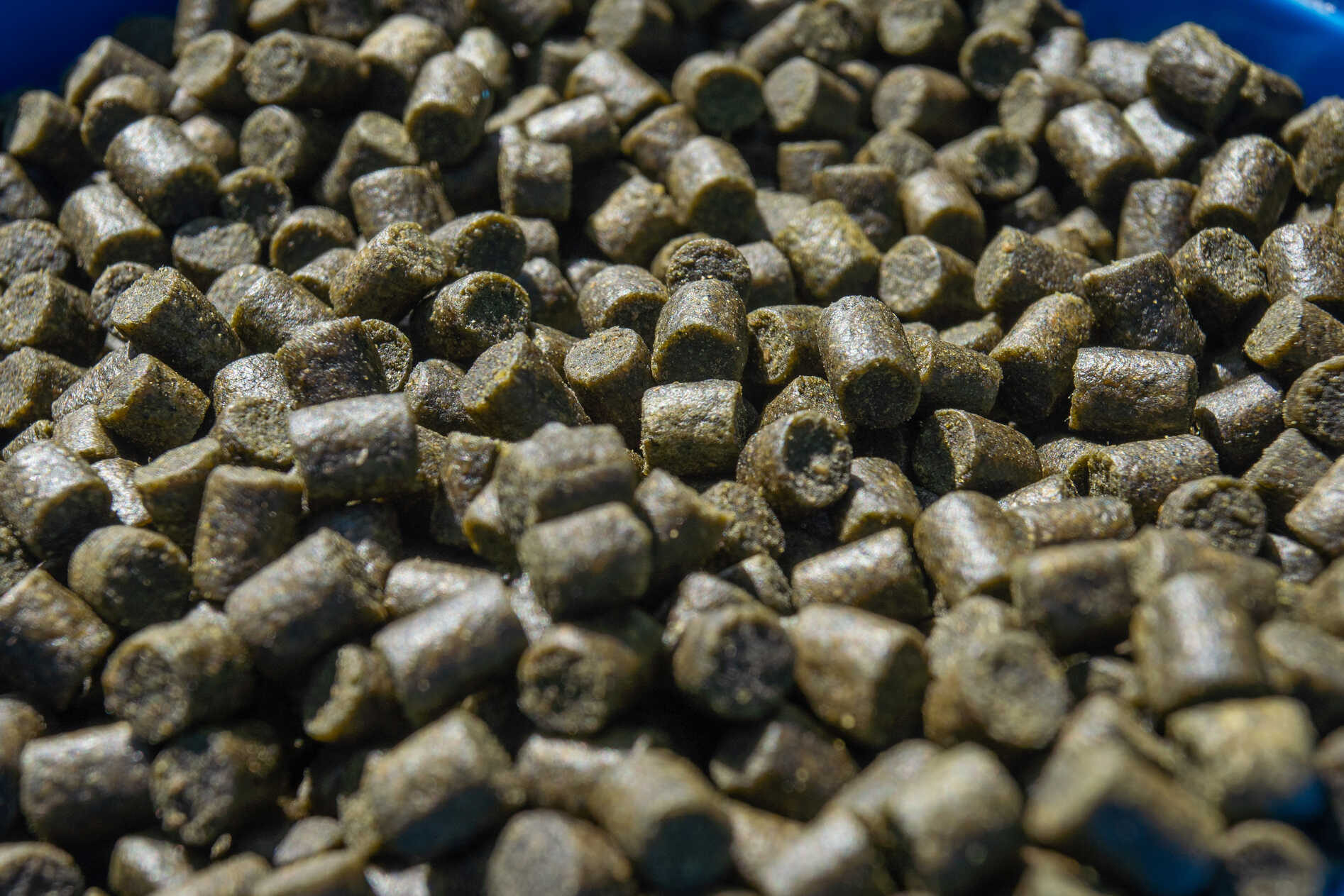 Sonubaits Marine Green Feed Pellets (900g)