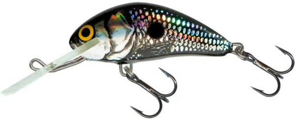 Salmo Hornet 6cm (10 Optionen)