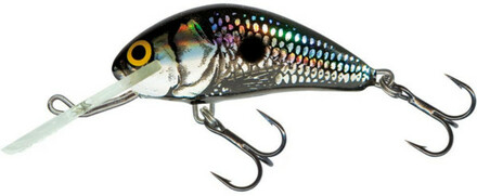 Salmo Hornet 6cm (26 Optionen)