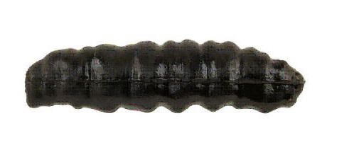 Berkley Gulp Honig Wurm 45mm (10 Stück)