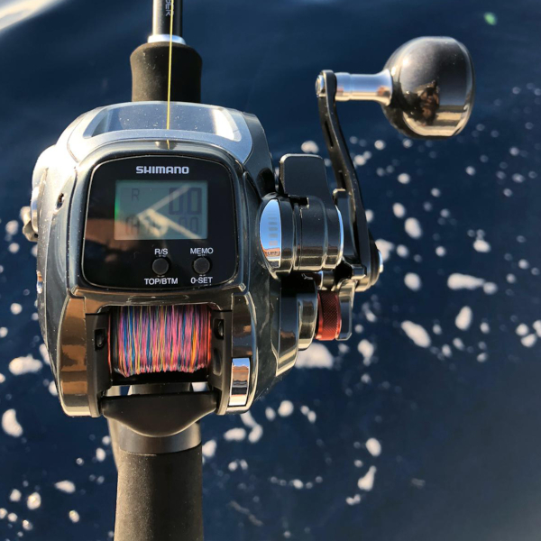 Shimano Plays 600 Boat Elektrische Meeresrolle RH