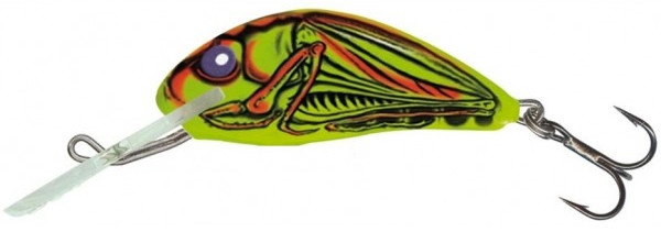 Salmo Hornet 2 und 3cm (17 Optionen) - Grasshopper