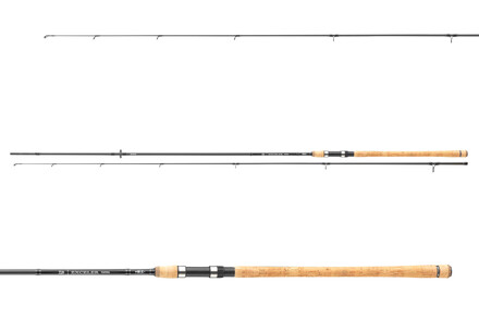 Daiwa Exceler Traditional Meerforellen-Spinnrute 3.15m (15-40g)