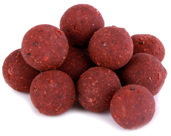 Premium Readymade Food Source Boilies in 15 oder 20mm